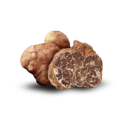 Truffe Bianchetto – Tuber borchii